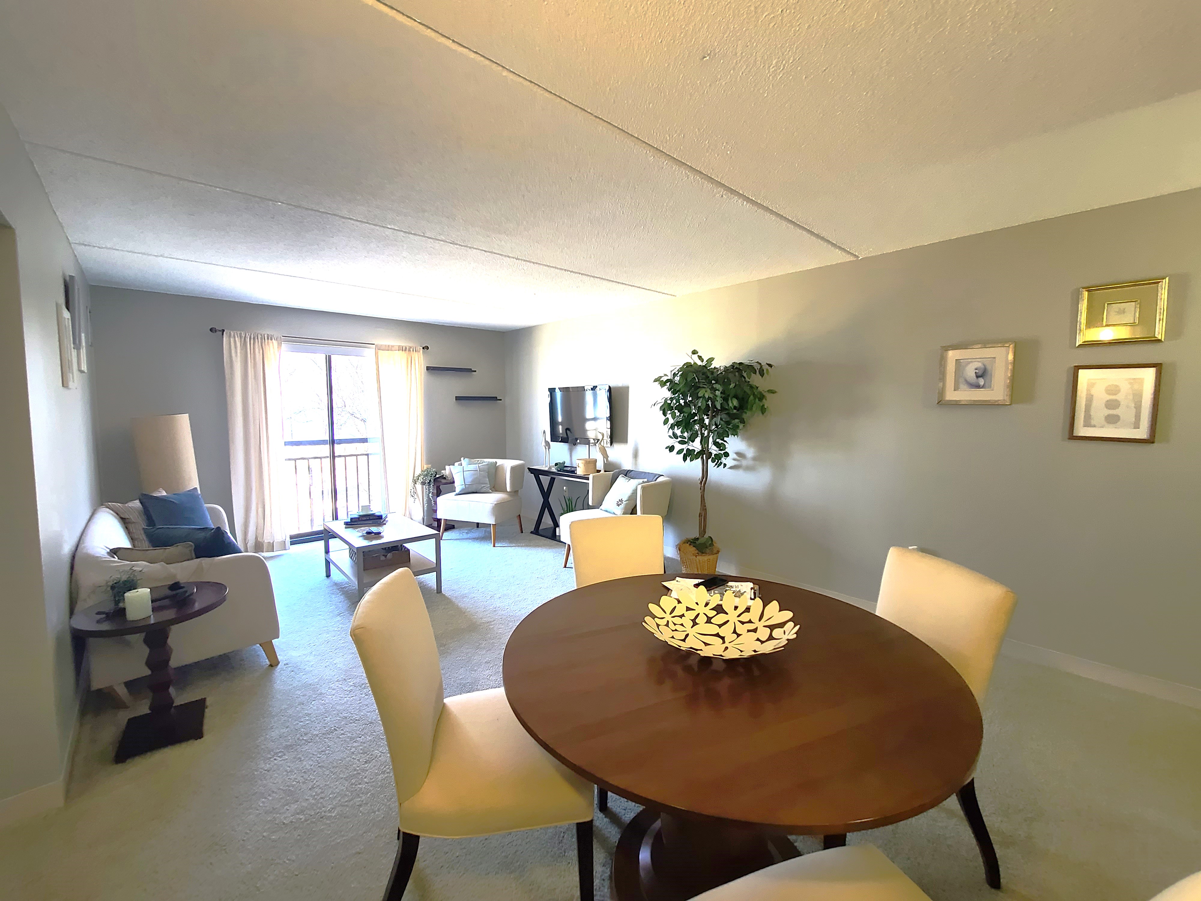 Quiet 1-Bed for Rent in Dorchester